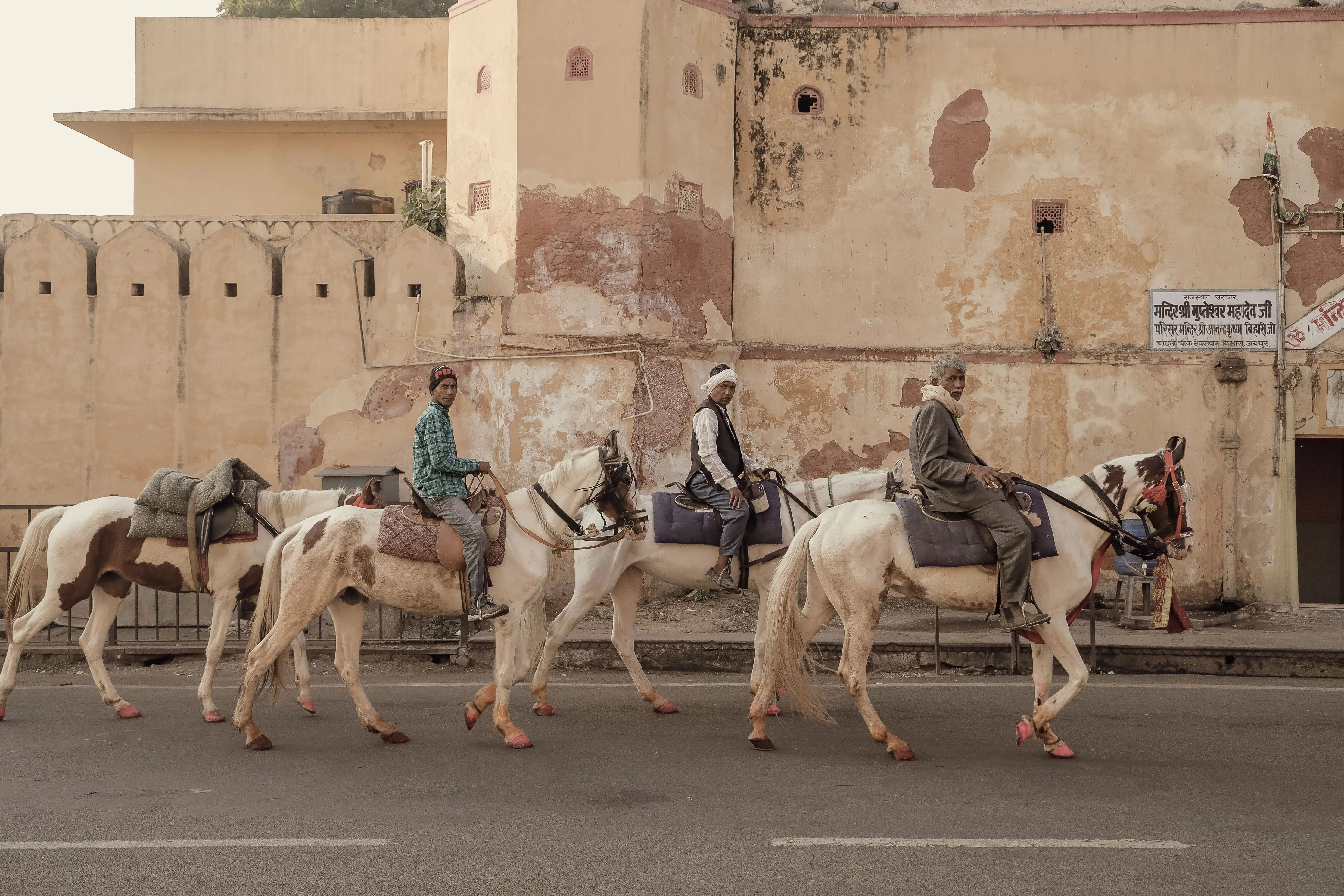 Horses on a desert trail